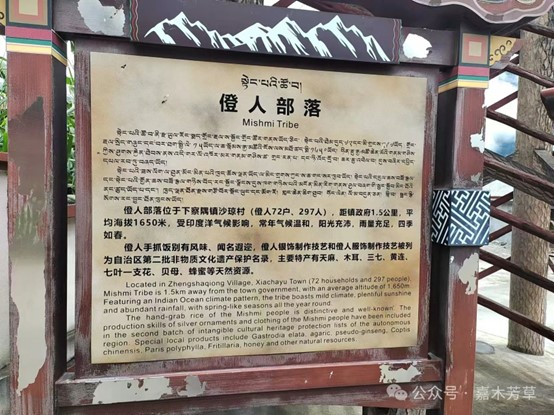 图片11.jpg 图片11.jpg